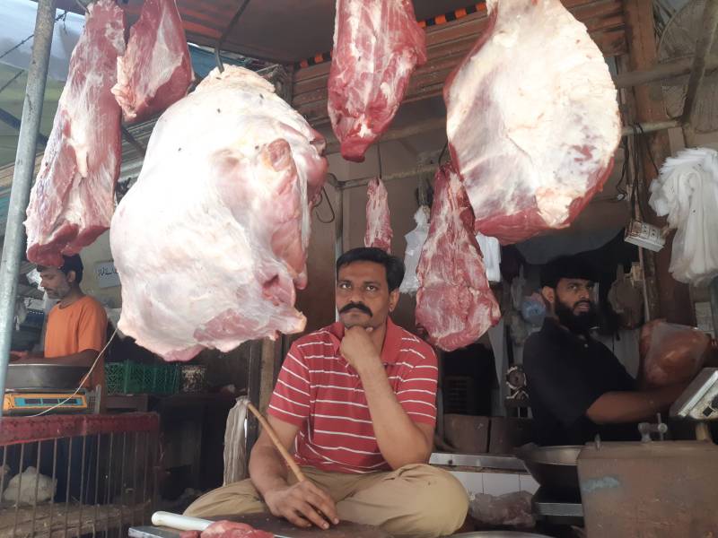 Sindh Starts First Lumpy Disease Vaccination As Livestock Outbreak Continues